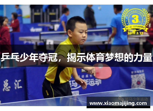 乒乓少年夺冠，揭示体育梦想的力量