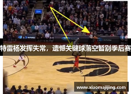 特雷杨发挥失常，遗憾关键球落空暂别季后赛